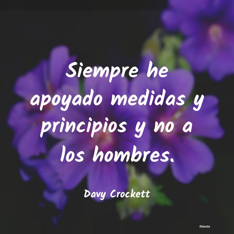 Frases de Davy Crockett