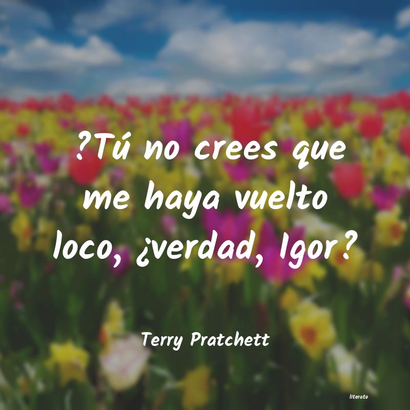 Frases de Terry Pratchett