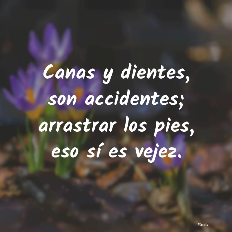 frases