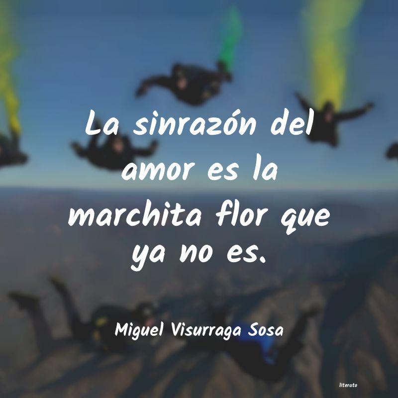 frases de Miguel Visurraga Sosa