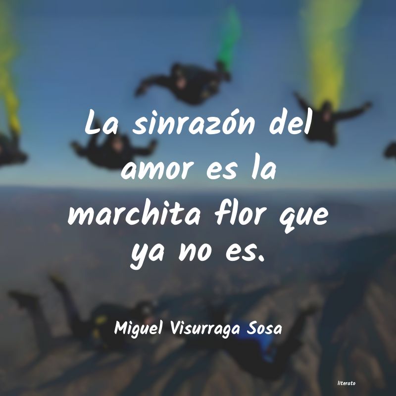 Frases de Miguel Visurraga Sosa