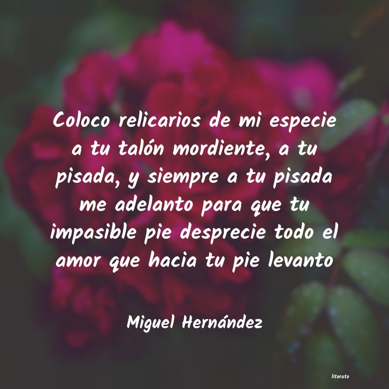 frases de Miguel HernÃ¡ndez