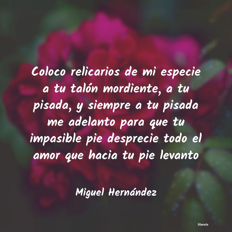 Frases de Miguel Hernández