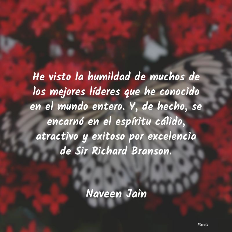 frases de Naveen Jain