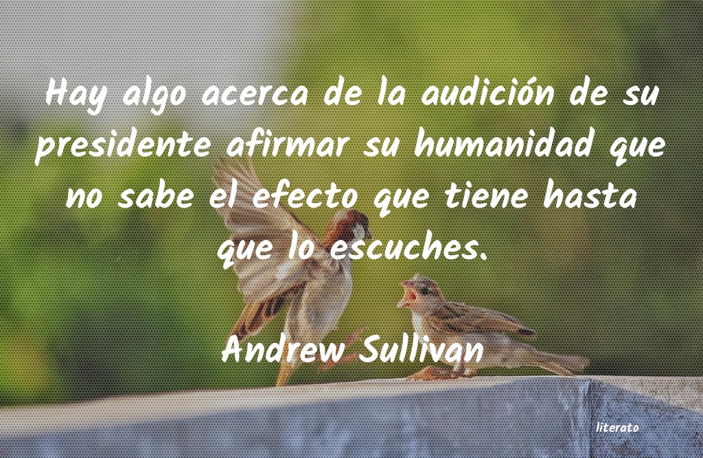 Frases de Andrew Sullivan