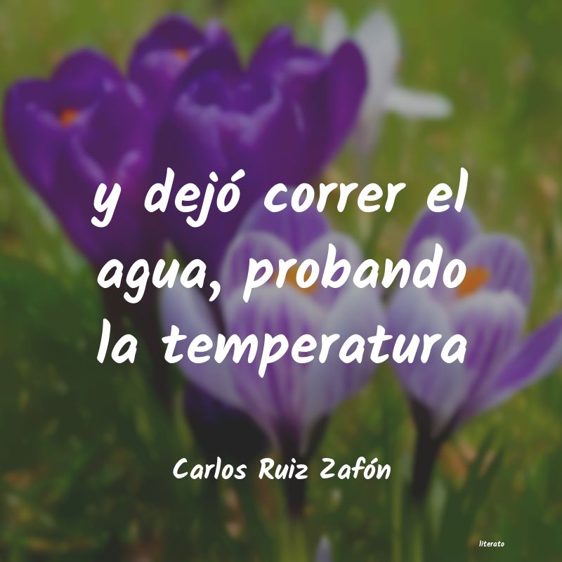 frases de Carlos Ruiz Zafón