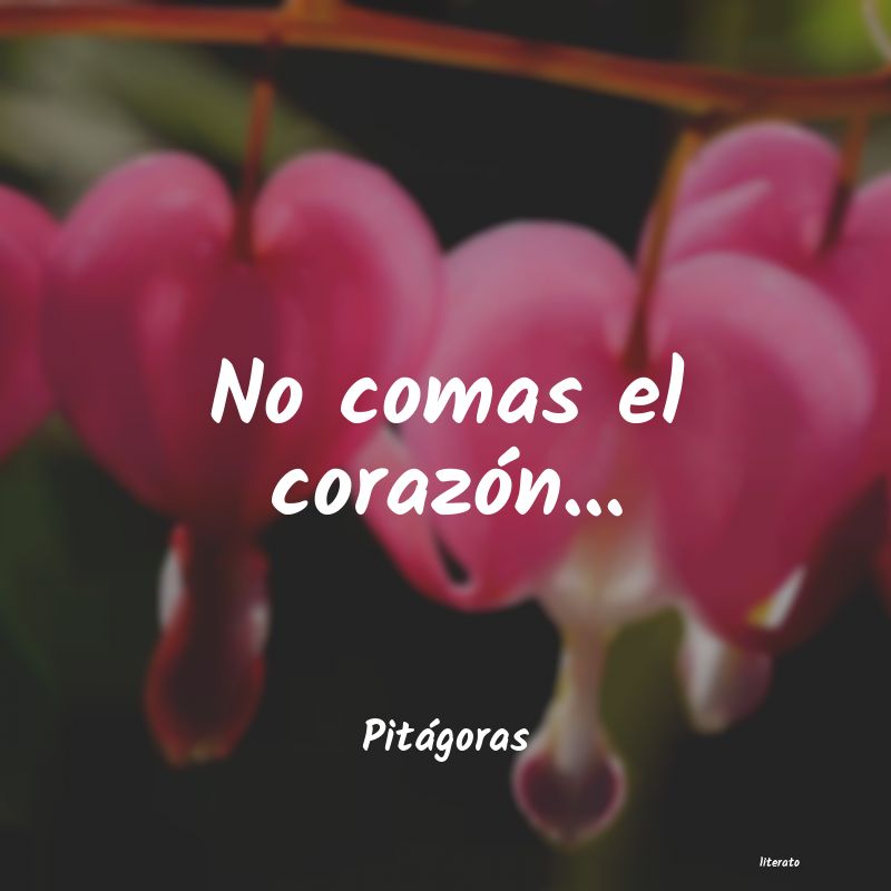 frases de PitÃ¡goras