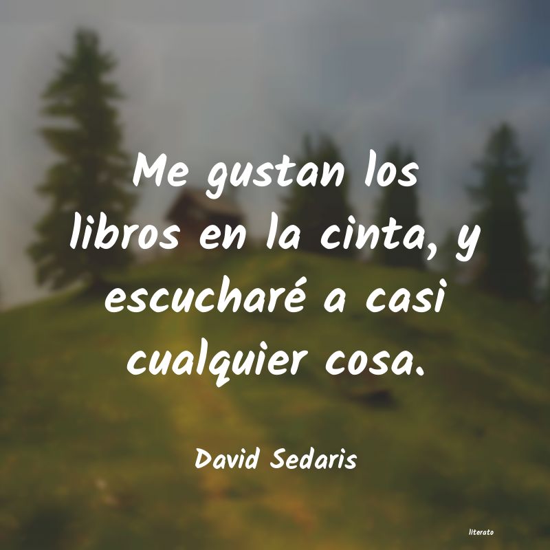 Frases de David Sedaris