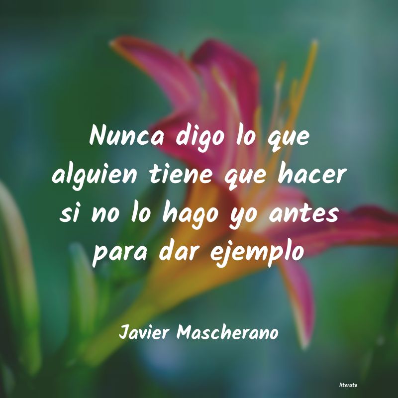 Frases de Javier Mascherano