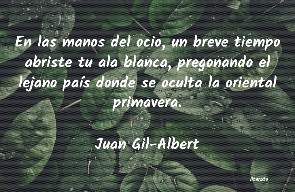Frases de Juan Gil-Albert