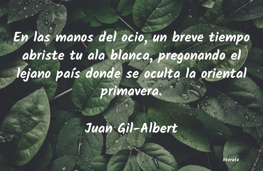 frases de Juan Gil-Albert