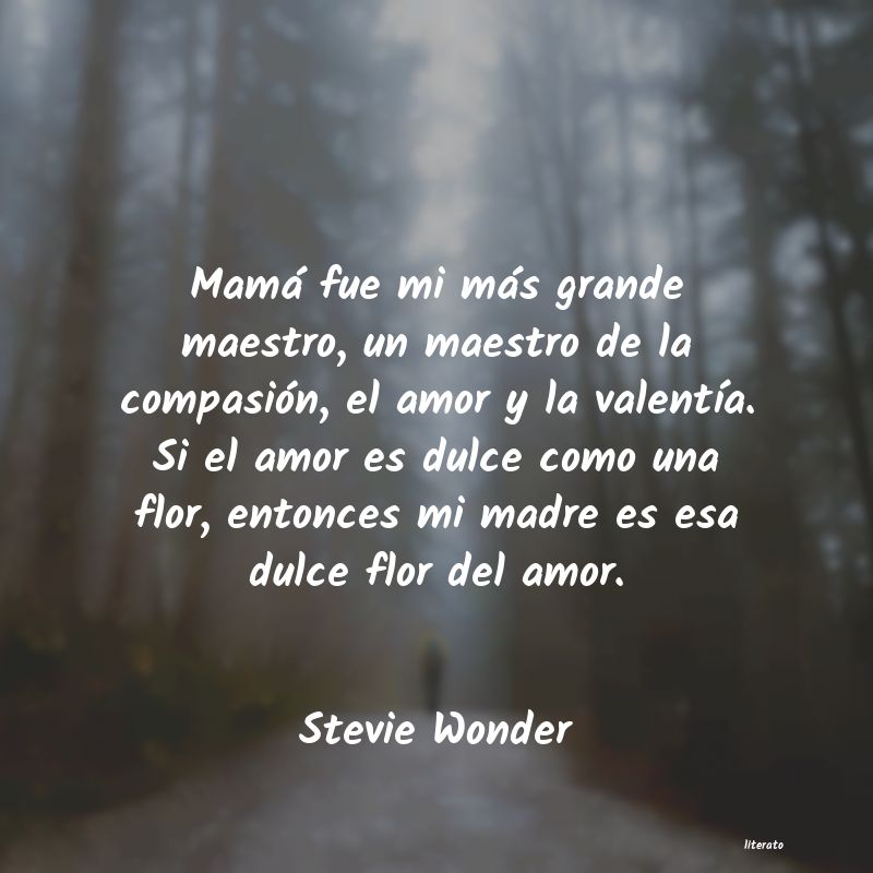 frases de Stevie Wonder