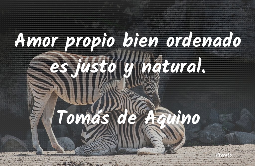 Frases de Tomás de Aquino