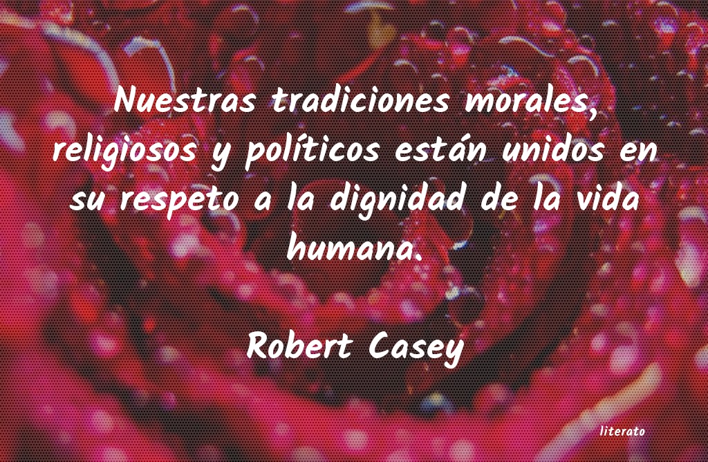 Frases de Robert Casey