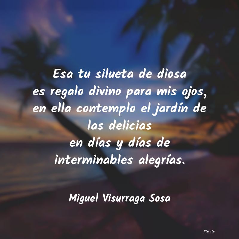 Frases de Miguel Visurraga Sosa