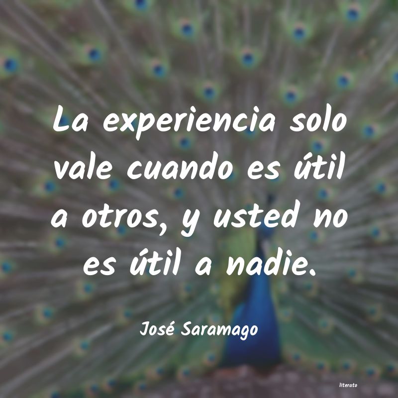 Frases de José Saramago