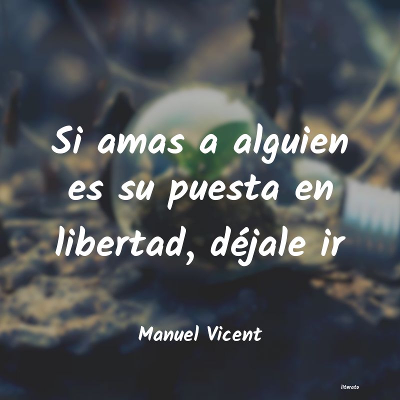 Frases de Manuel Vicent
