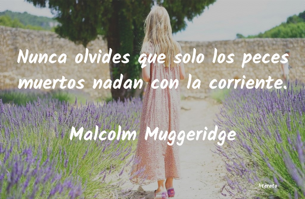 frases de Malcolm Muggeridge