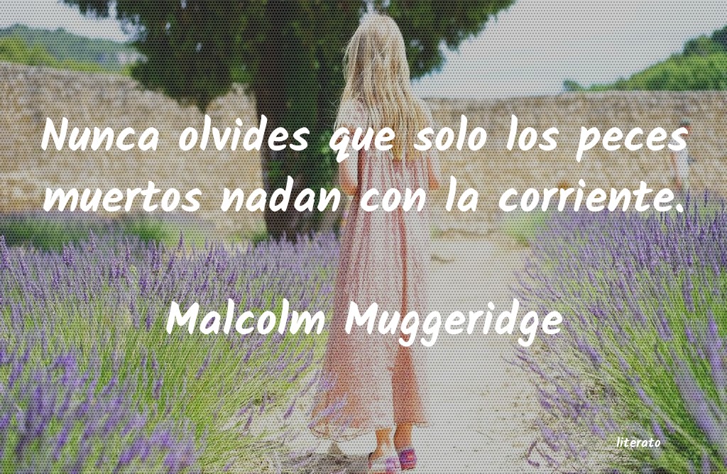 Frases de Malcolm Muggeridge