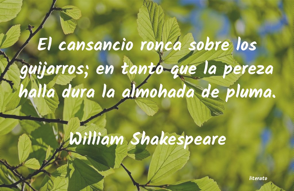 William Shakespeare no es amor