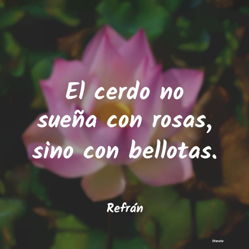 frases de Refrán