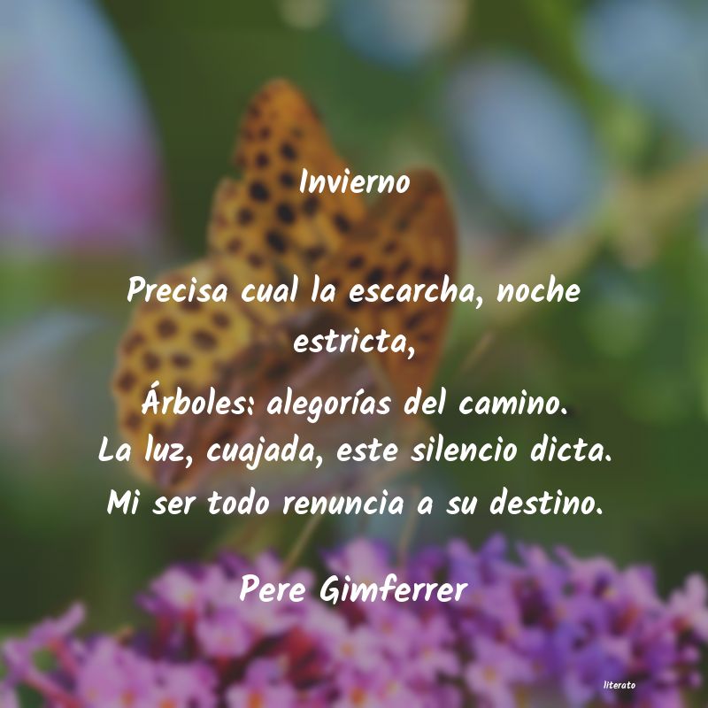 Frases de Pere Gimferrer