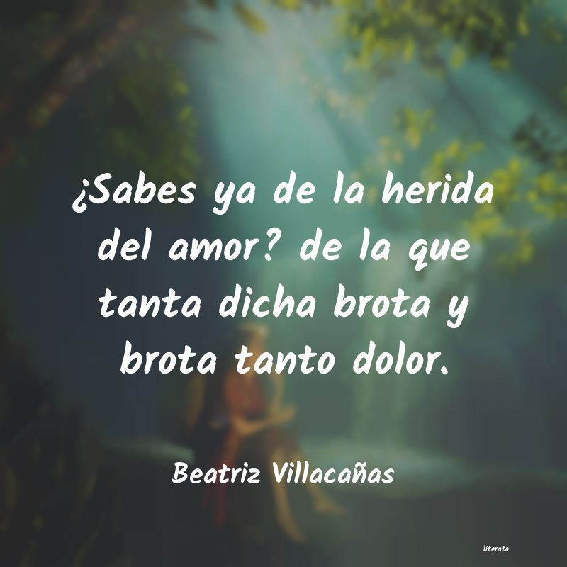 frases de Beatriz VillacaÃ±as