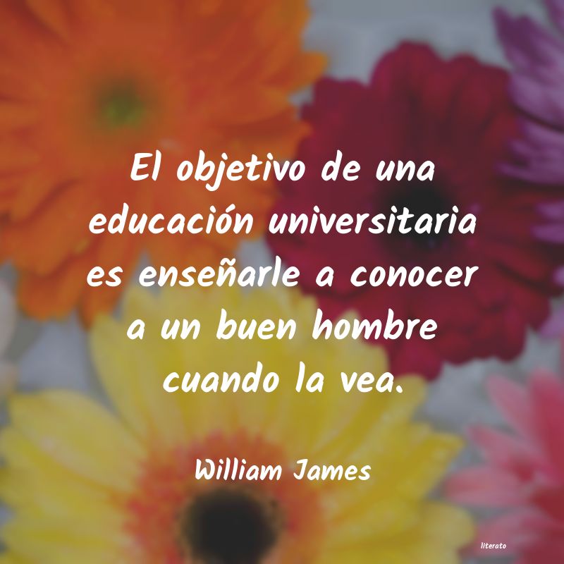 Frases de William James