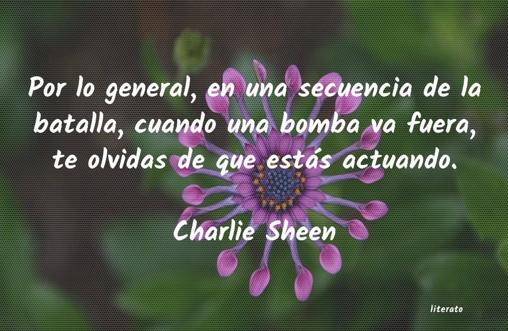 frases de Charlie Sheen