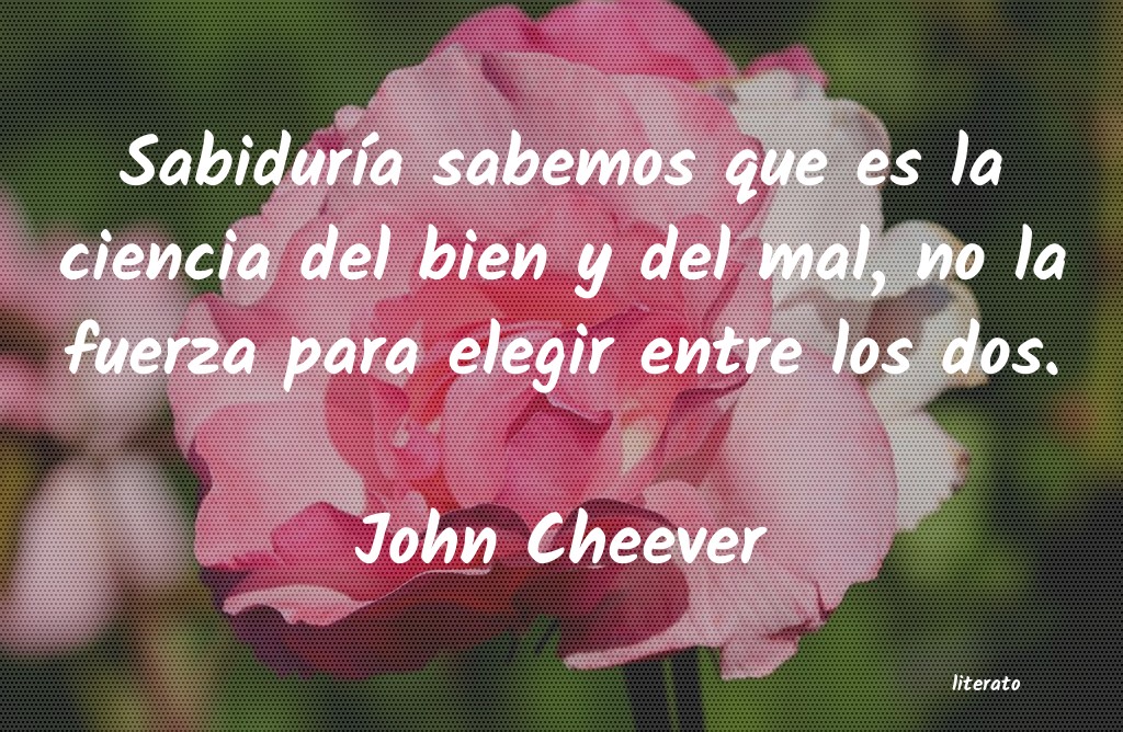 frases de John Cheever
