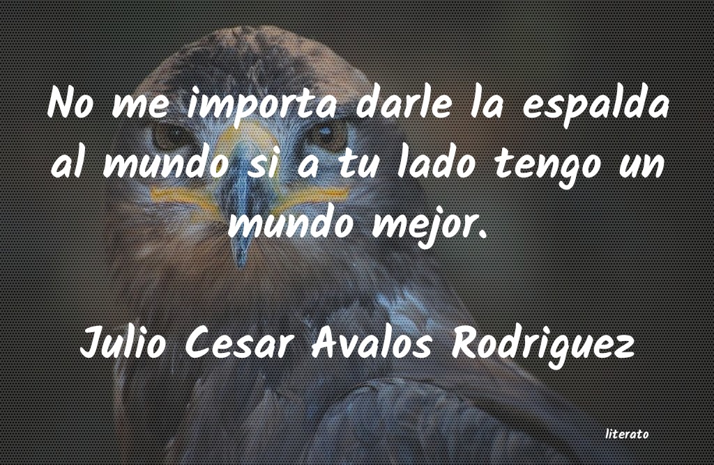 Frases de Julio Cesar Avalos Rodriguez