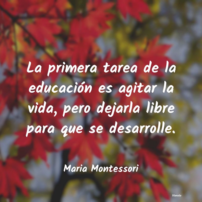 frases de Maria Montessori