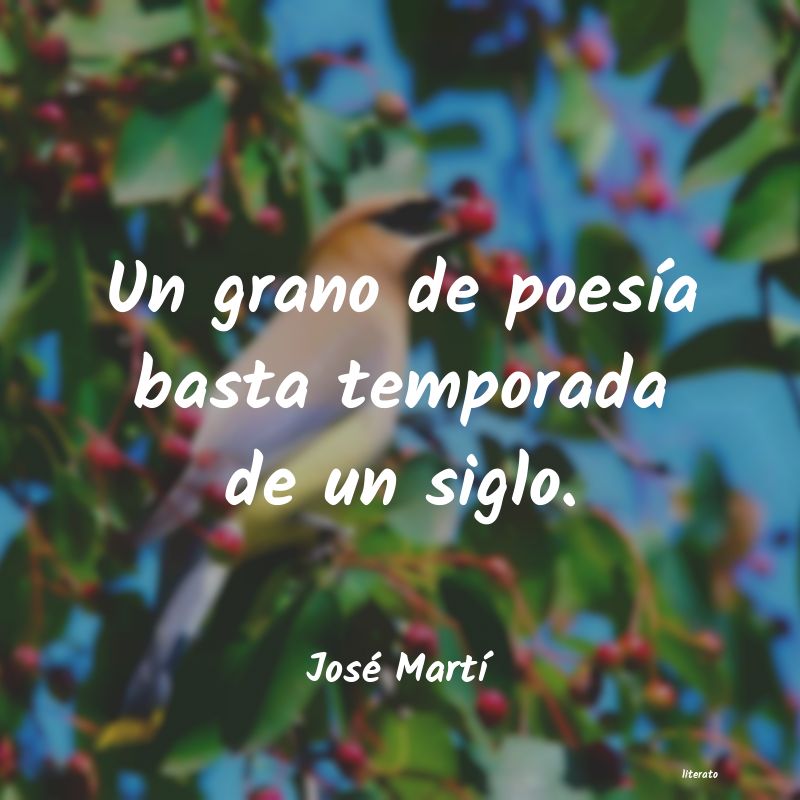 Frases de José Martí