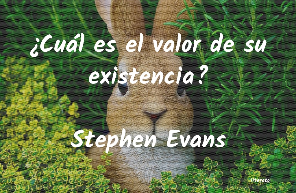 Frases de Stephen Evans