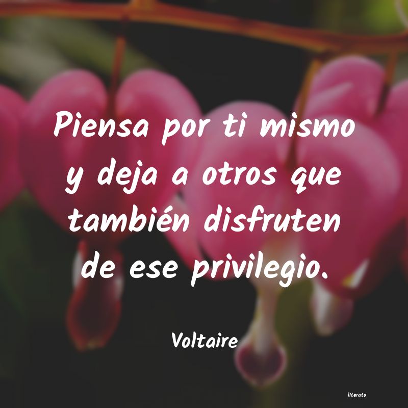 Frases de Voltaire