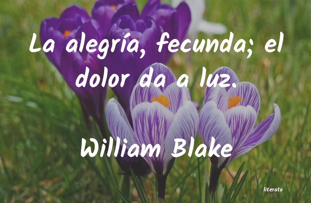 Frases de William Blake