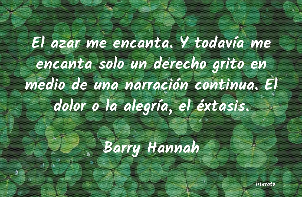 frases de Barry Hannah