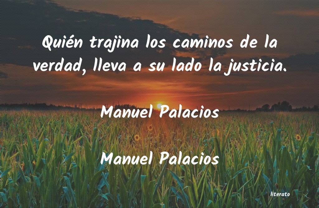 Frases de Manuel Palacios