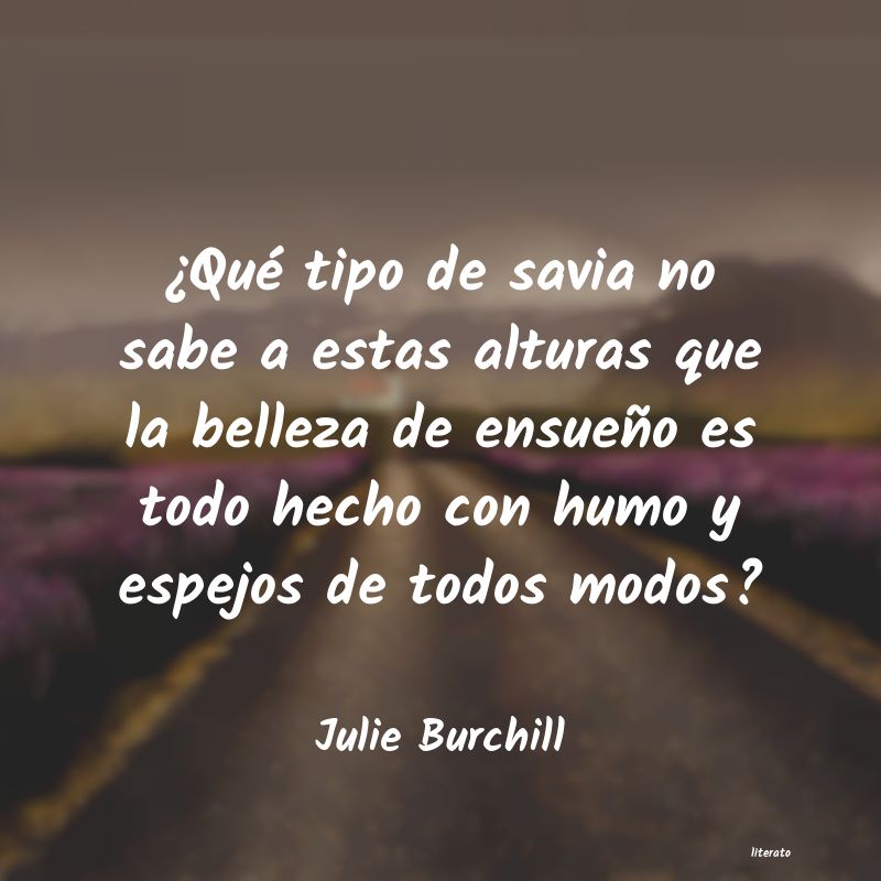 Frases de Julie Burchill