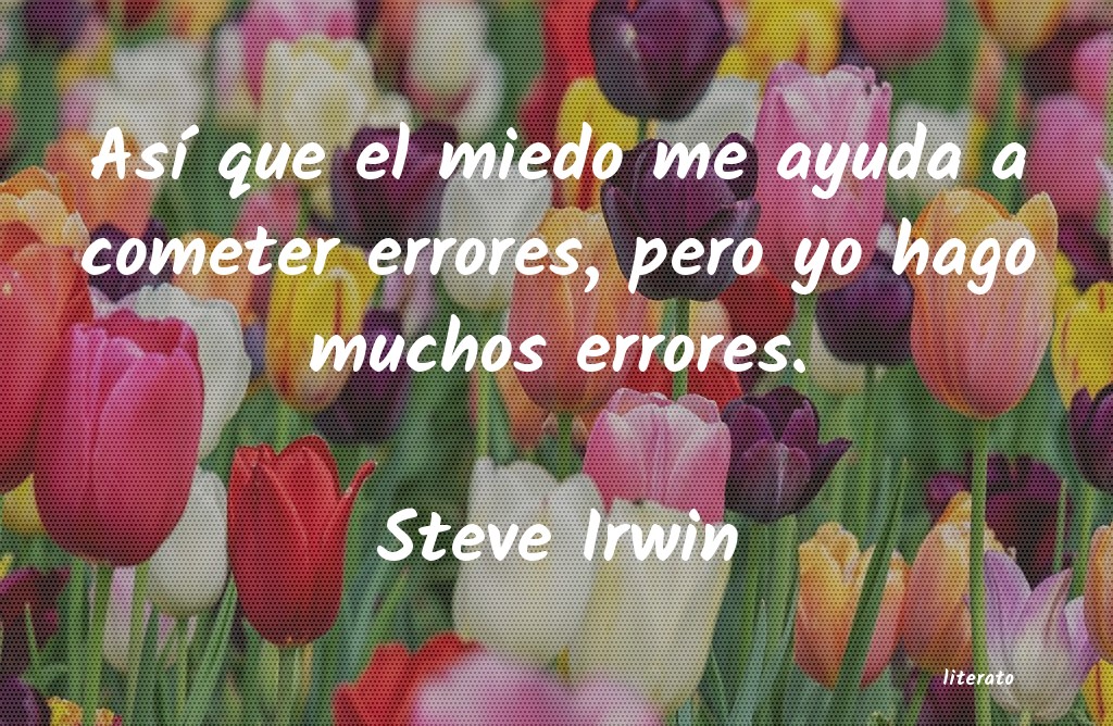 Frases de Steve Irwin