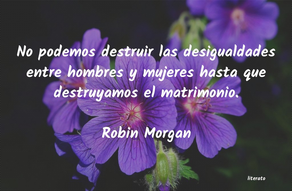 frases de Robin Morgan