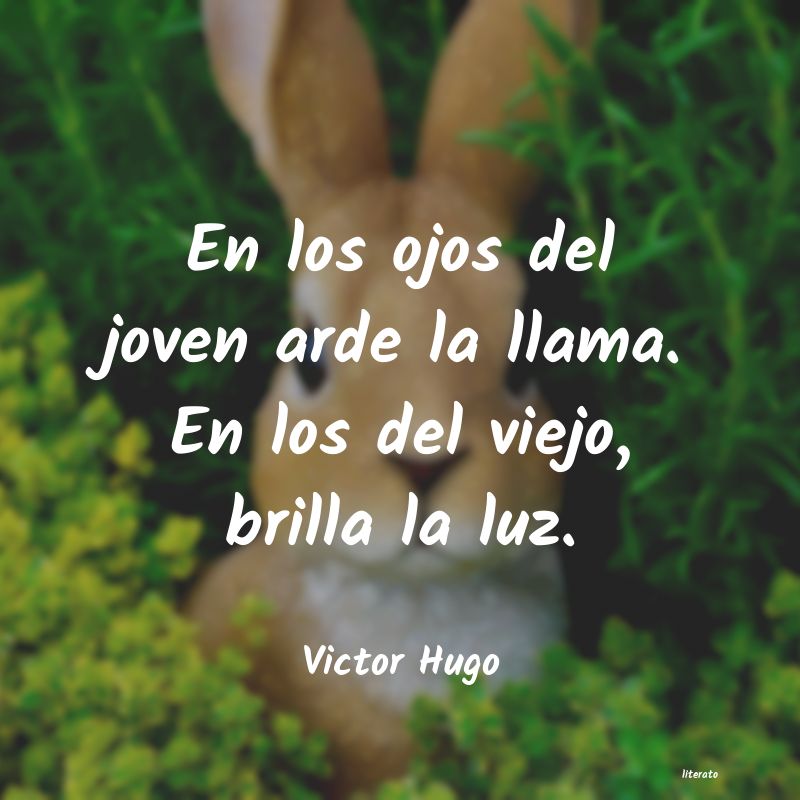 Frases de Victor Hugo