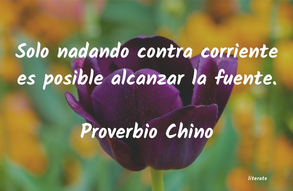 Frases de Proverbio Chino