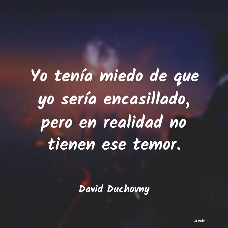frases de David Duchovny