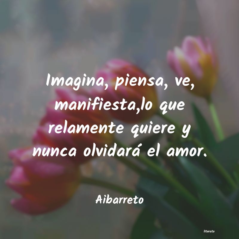 frases de Aibarreto