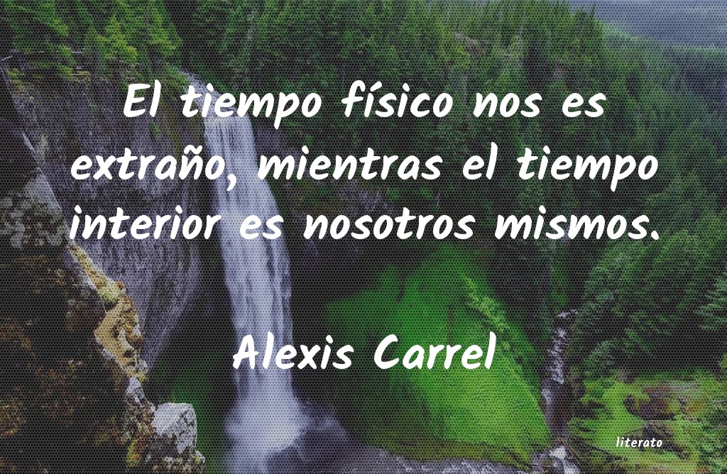 Frases de Alexis Carrel