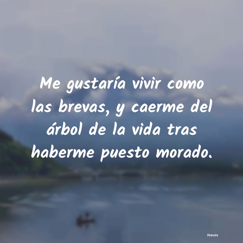 frases