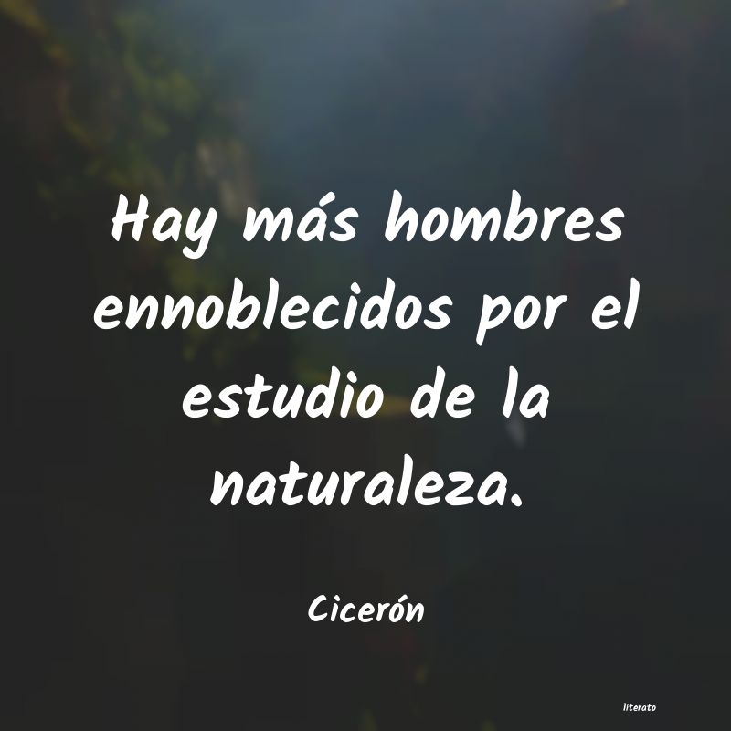 Frases de Cicerón