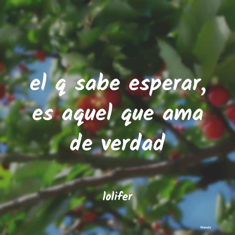 Frases de lolifer