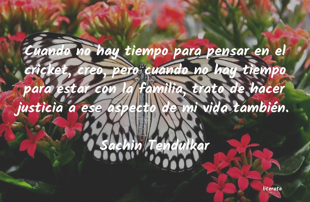 frases de Sachin Tendulkar